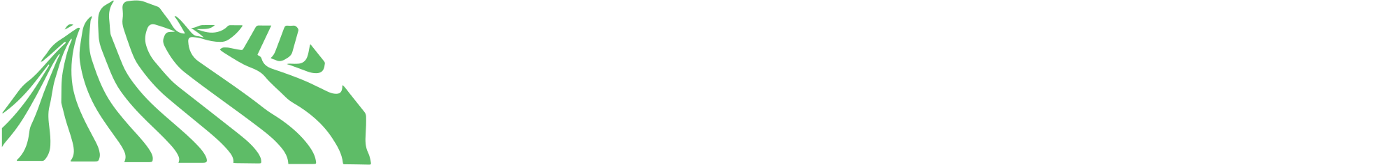 Yns Adblue
